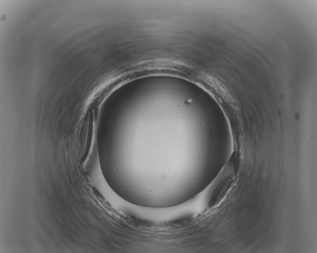 X0000084601164200703021617