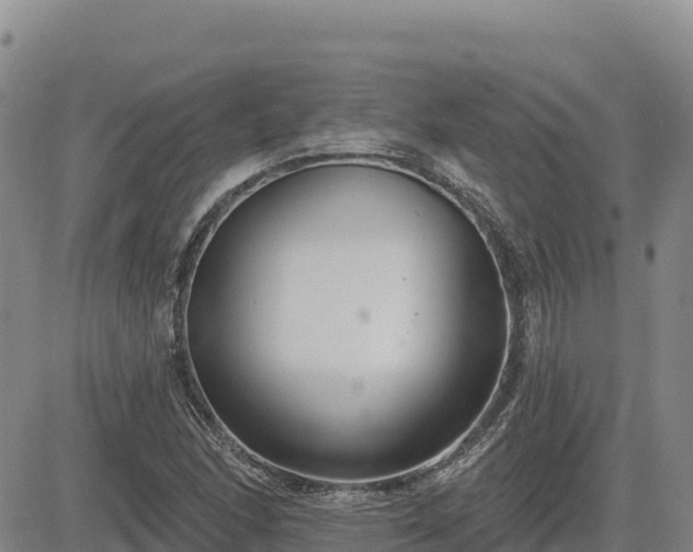 X0000084601166200703021617