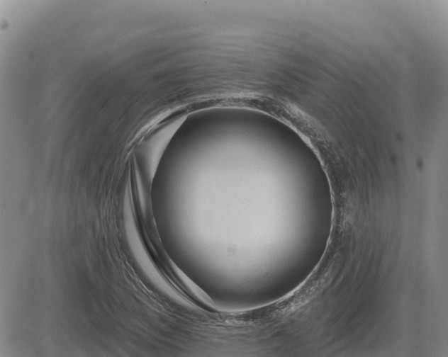 X0000084601169200703021617