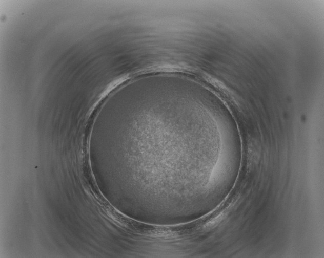 X0000084601170200703021617