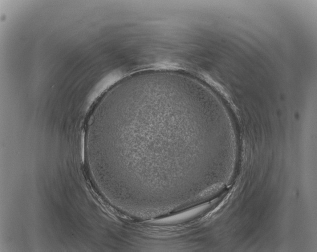 X0000084601171200703021617