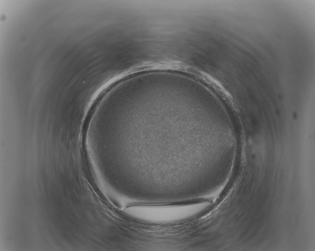 X0000084601174200703021617