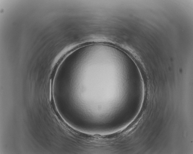 X0000084601175200703021617