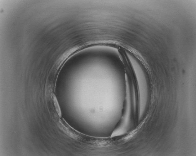 X0000084601177200703021617