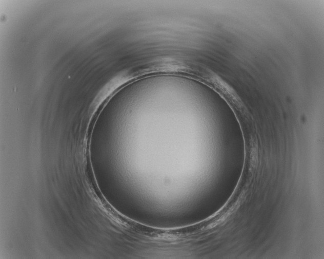 X0000084601178200703021617