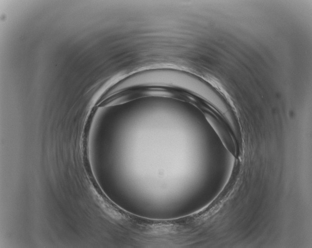 X0000084601181200703021617