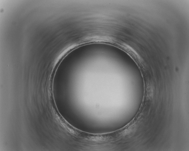 X0000084601182200703021617