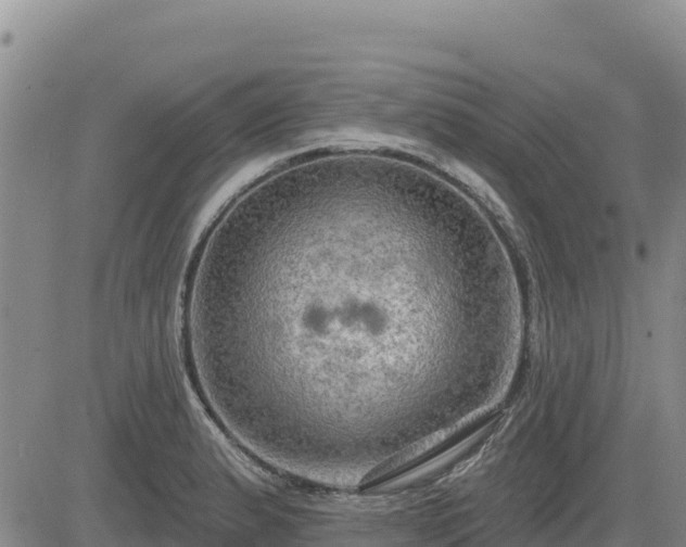 X0000084601183200703021617