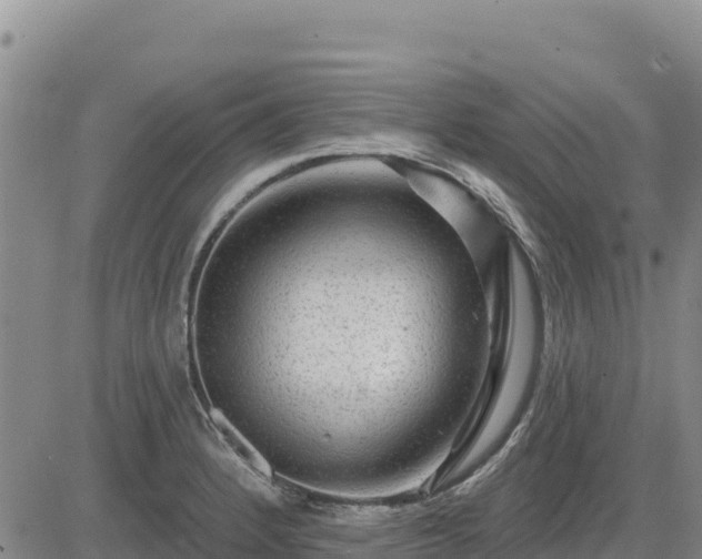 X0000084601184200703021617