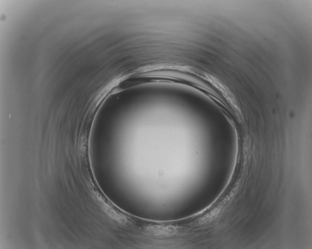 X0000084601185200703021617