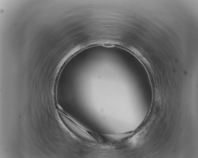 X0000084601189200703021617