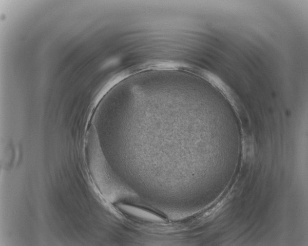 X0000084601194200703021617