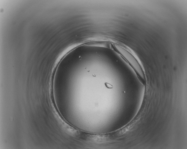 X0000084601195200703021617