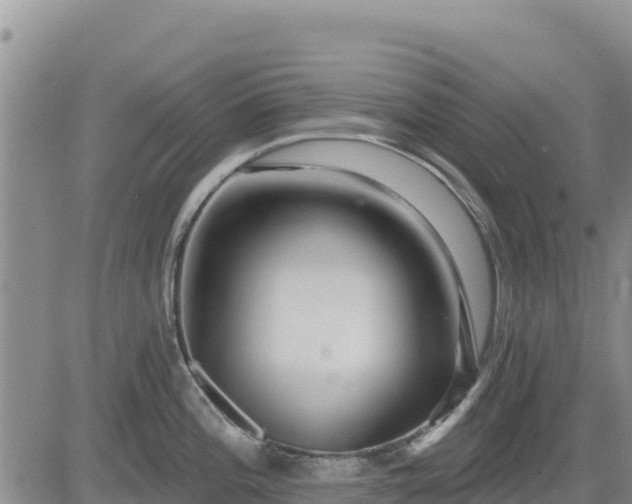 X0000084601196200703021617