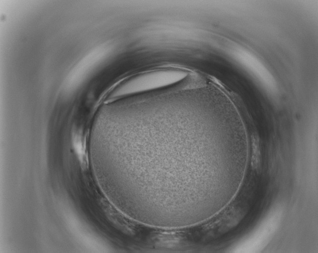 X0000084601198200703021617