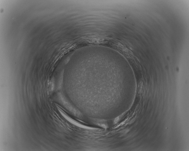 X0000084601202200703021616