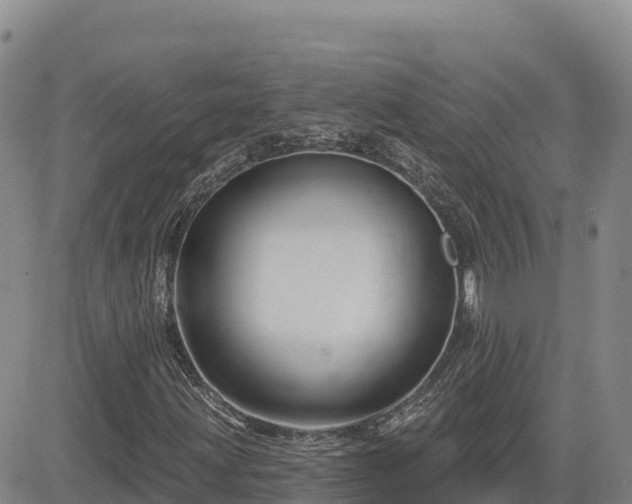 X0000084601203200703021616