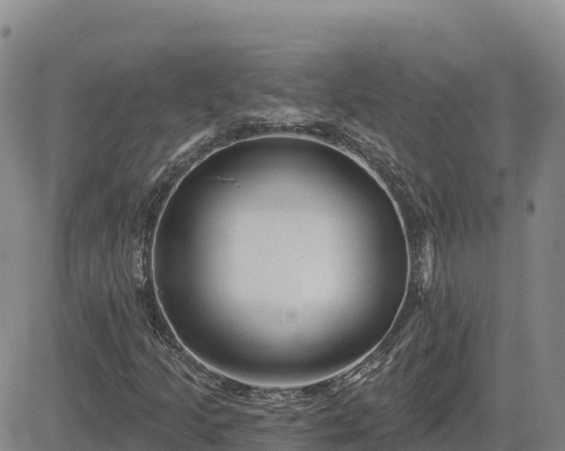 X0000084601205200703021616