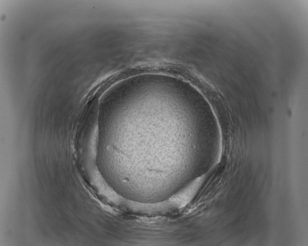 X0000084601206200703021616