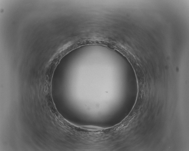 X0000084601207200703021616