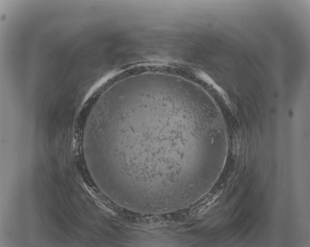 X0000084601208200703021616