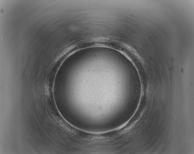 X0000084601209200703021616