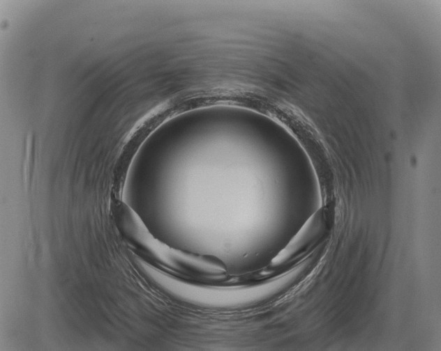 X0000084601210200703021616