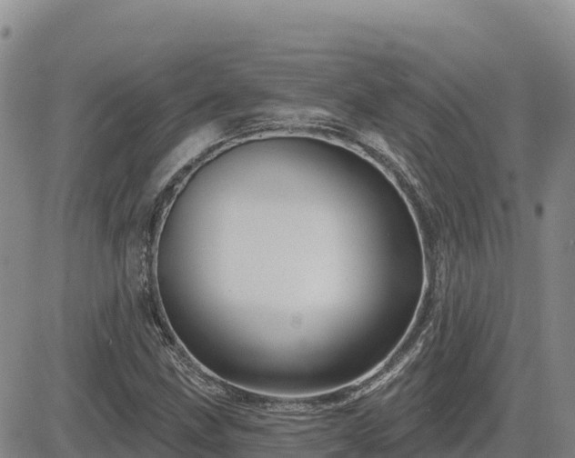 X0000084601211200703021616