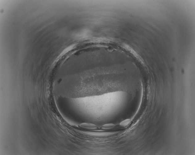 X0000084601213200703021616