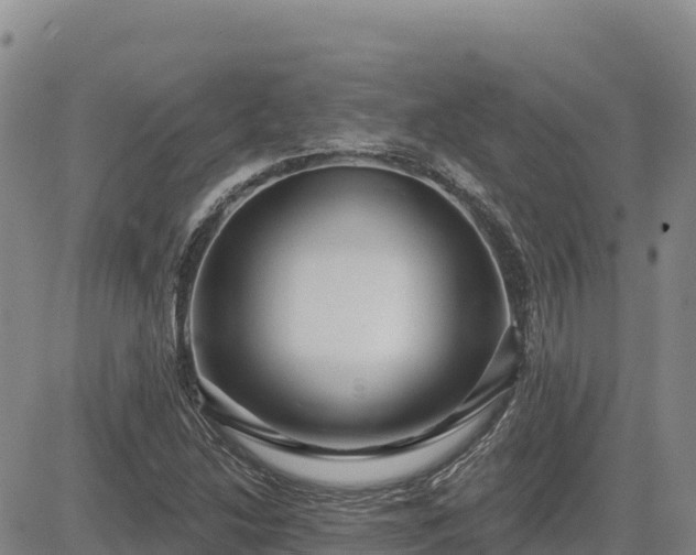 X0000084601214200703021616