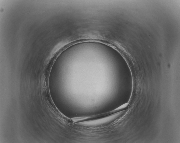 X0000084601215200703021616