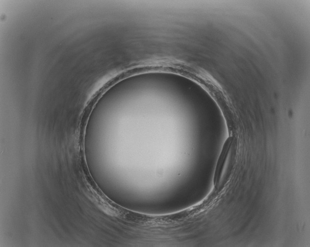 X0000084601216200703021616