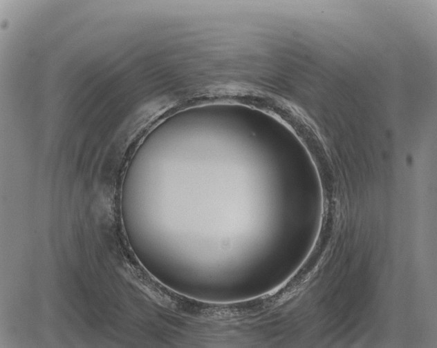 X0000084601217200703021616