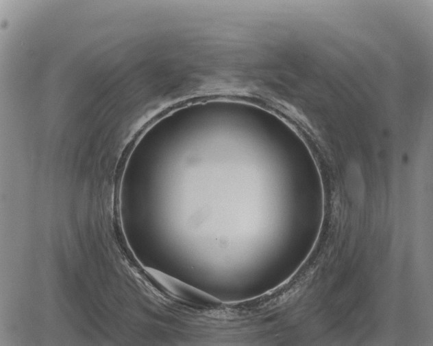 X0000084601220200703021616