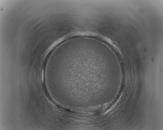 X0000084601221200703021616