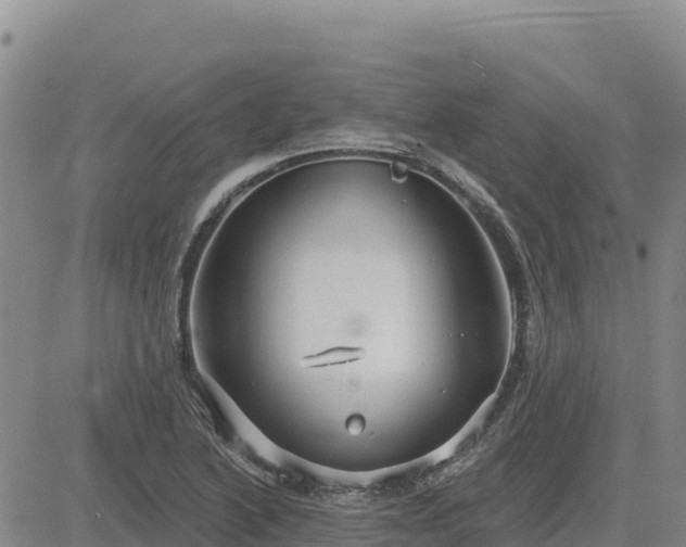 X0000084601222200703021616