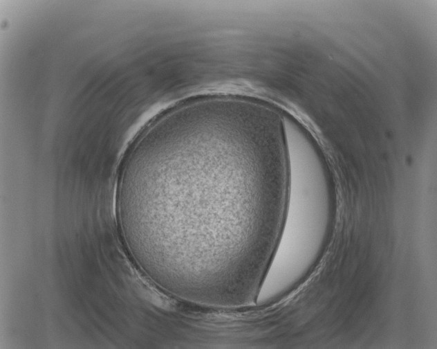 X0000084601224200703021616