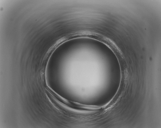 X0000084601225200703021616