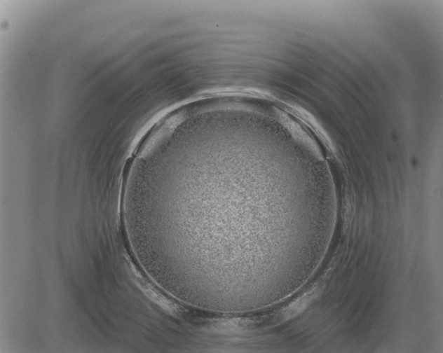 X0000084601228200703021616