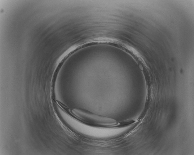 X0000084601229200703021616