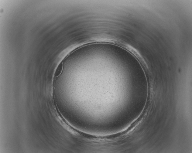 X0000084601236200703021617