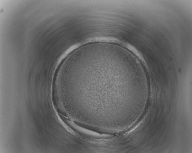 X0000084601237200703021617