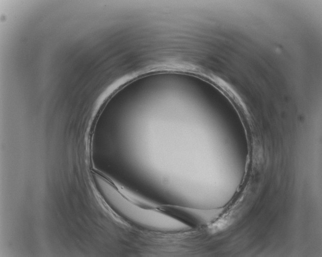 X0000084601238200703021617