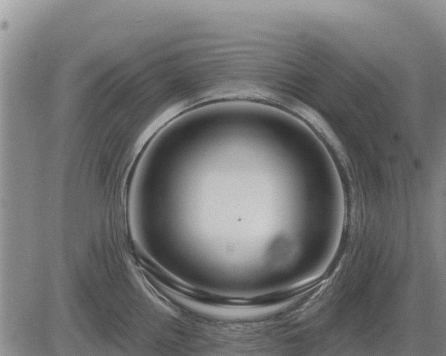 X0000084601242200703021617