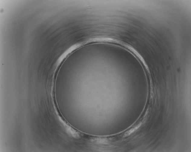 X0000084601245200703021617