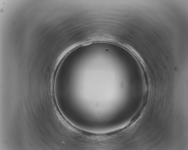 X0000084601246200703021617