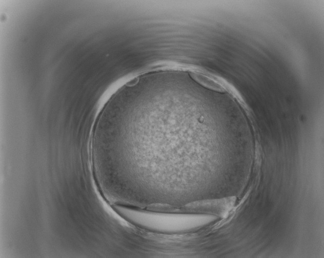 X0000084601247200703021617