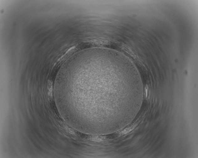 X0000084601251200703021616