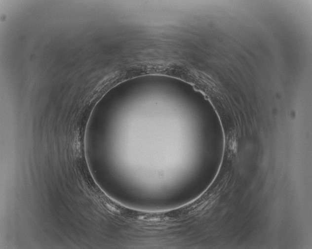 X0000084601252200703021616