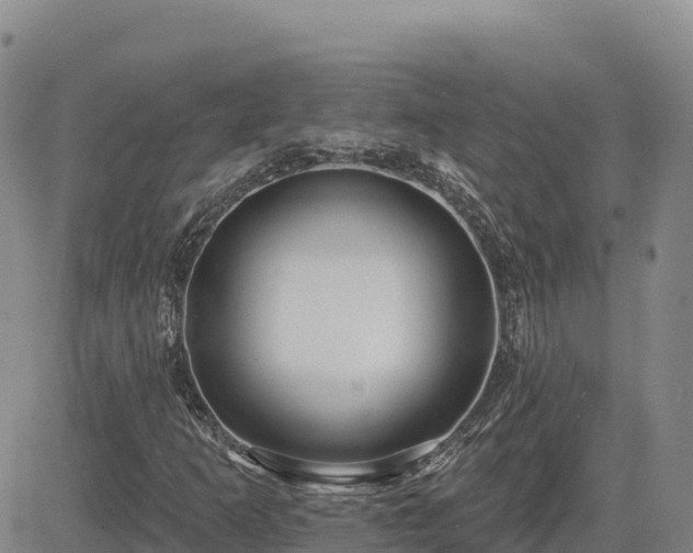 X0000084601253200703021616